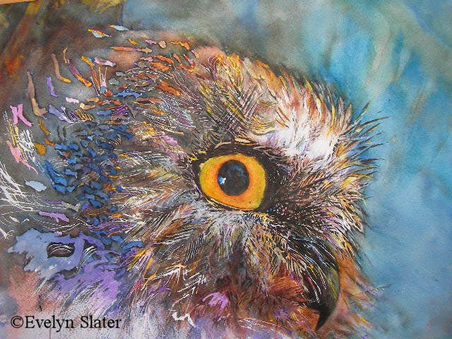 Saw Whet Owl painting