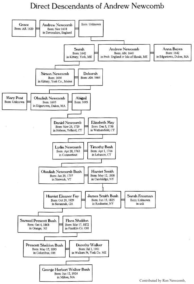 William Brewster Descendants Chart